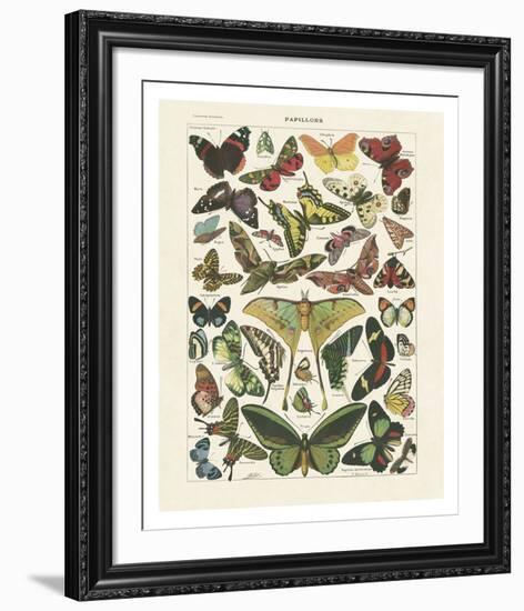 Papillons I-Adolphe Millot-Framed Art Print