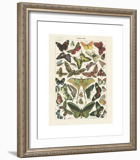 Papillons I-Adolphe Millot-Framed Giclee Print