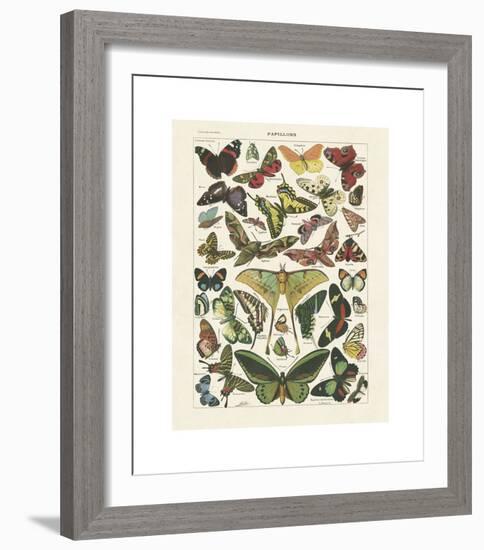 Papillons I-Adolphe Millot-Framed Giclee Print