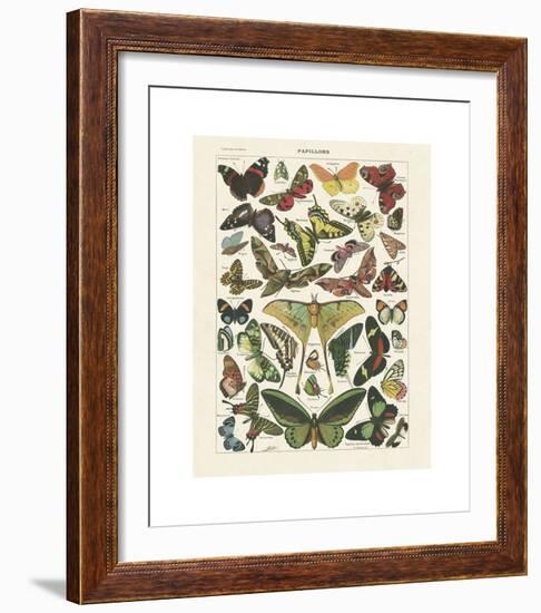 Papillons I-Adolphe Millot-Framed Giclee Print