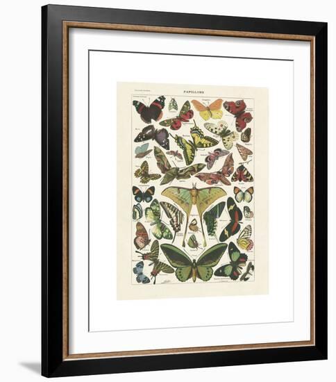 Papillons I-Adolphe Millot-Framed Giclee Print