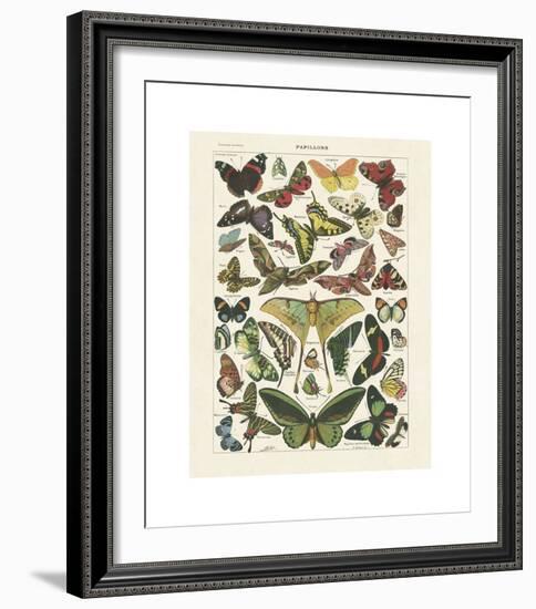 Papillons I-Adolphe Millot-Framed Giclee Print