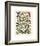 Papillons I-Adolphe Millot-Framed Giclee Print