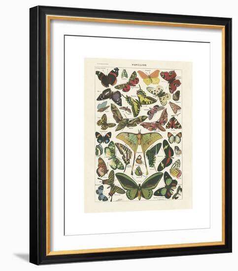 Papillons I-Adolphe Millot-Framed Giclee Print