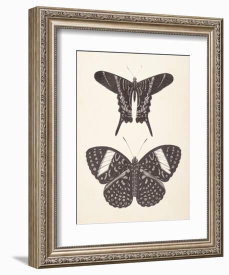 Papillons II Neutral-Wild Apple Portfolio-Framed Art Print