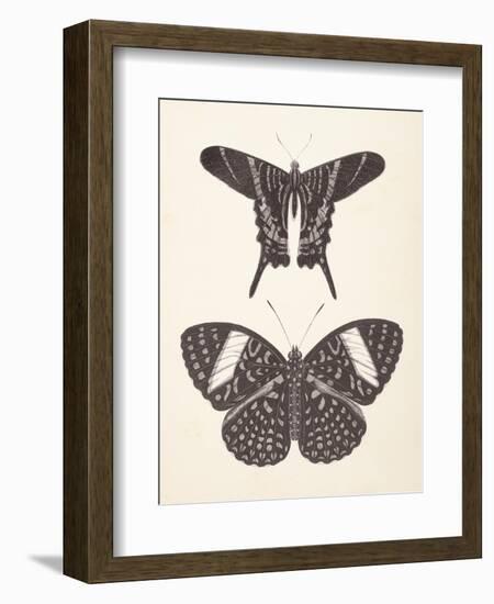 Papillons II Neutral-Wild Apple Portfolio-Framed Art Print