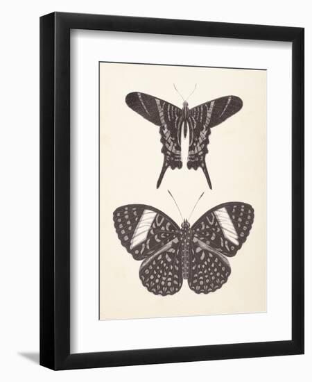 Papillons II Neutral-Wild Apple Portfolio-Framed Art Print