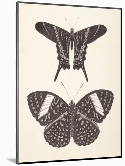 Papillons II Neutral-Wild Apple Portfolio-Mounted Art Print