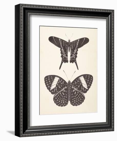 Papillons II Neutral-Wild Apple Portfolio-Framed Art Print
