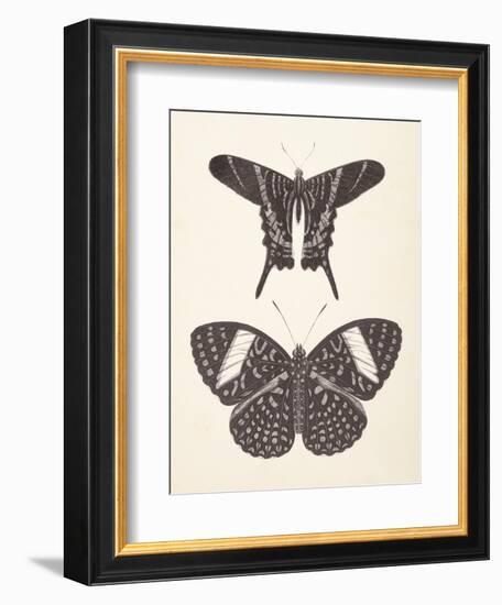 Papillons II Neutral-Wild Apple Portfolio-Framed Art Print