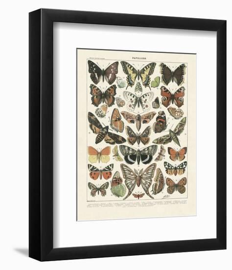 Papillons II-Adolphe Millot-Framed Art Print