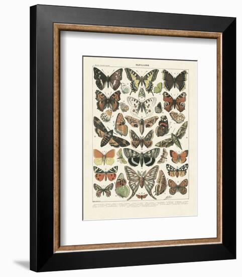 Papillons II-Adolphe Millot-Framed Art Print