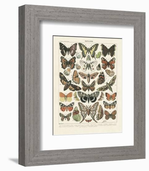 Papillons II-Adolphe Millot-Framed Art Print