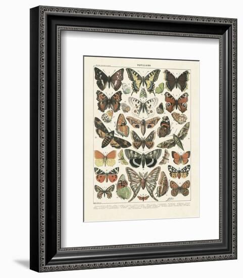 Papillons II-Adolphe Millot-Framed Art Print