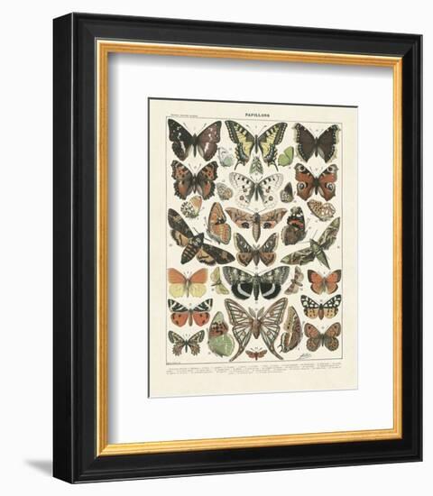 Papillons II-Adolphe Millot-Framed Art Print