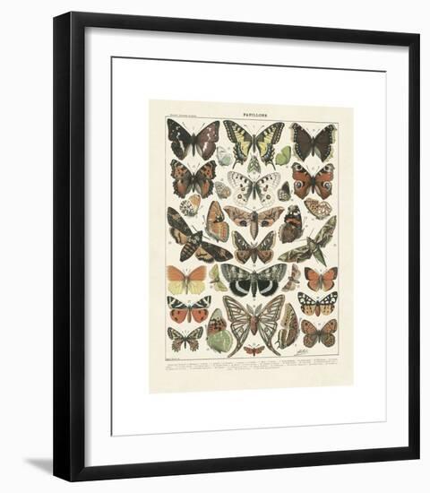 Papillons II-Adolphe Millot-Framed Giclee Print