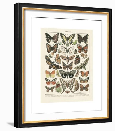 Papillons II-Adolphe Millot-Framed Giclee Print