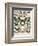 Papillons III-Adolphe Millot-Framed Art Print