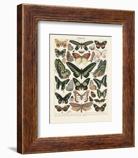 Papillons III-Adolphe Millot-Framed Art Print