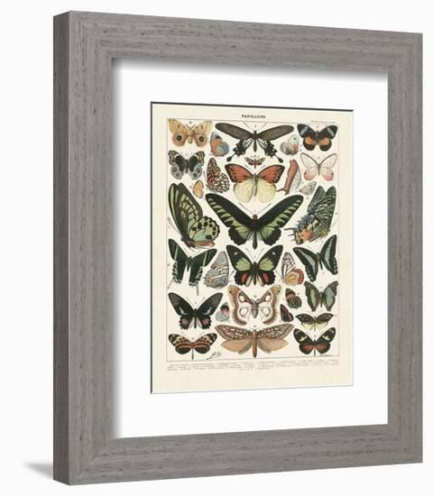 Papillons III-Adolphe Millot-Framed Art Print