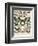 Papillons III-Adolphe Millot-Framed Art Print