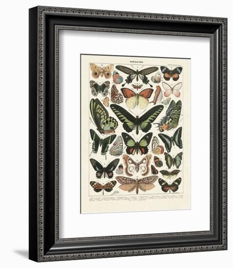 Papillons III-Adolphe Millot-Framed Art Print