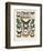 Papillons III-Adolphe Millot-Framed Art Print