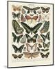 Papillons III-Adolphe Millot-Mounted Art Print