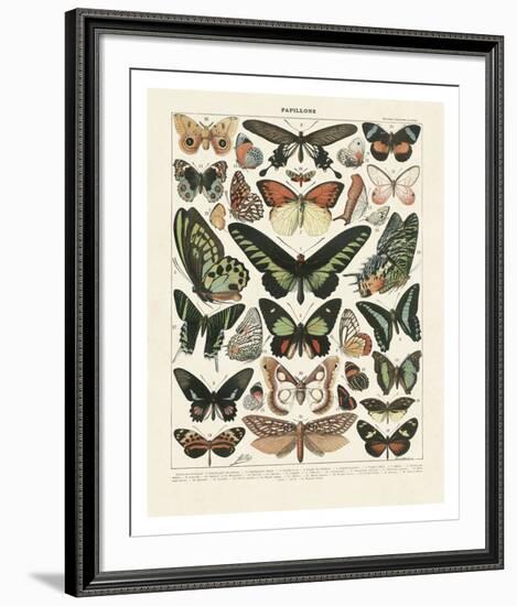 Papillons III-Adolphe Millot-Framed Art Print