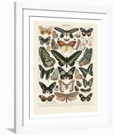 Papillons III-Adolphe Millot-Framed Art Print