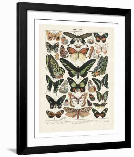 Papillons III-Adolphe Millot-Framed Art Print