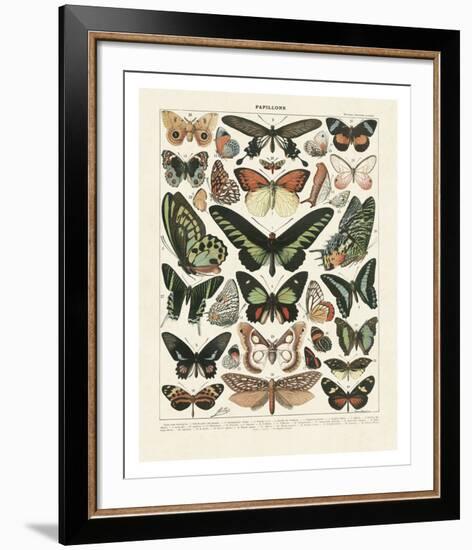 Papillons III-Adolphe Millot-Framed Art Print