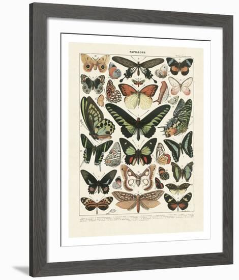 Papillons III-Adolphe Millot-Framed Art Print