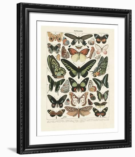 Papillons III-Adolphe Millot-Framed Art Print