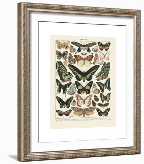 Papillons III-Adolphe Millot-Framed Giclee Print