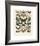 Papillons III-Adolphe Millot-Framed Giclee Print