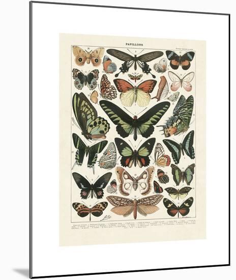 Papillons III-Adolphe Millot-Mounted Giclee Print