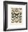 Papillons III-Adolphe Millot-Framed Giclee Print