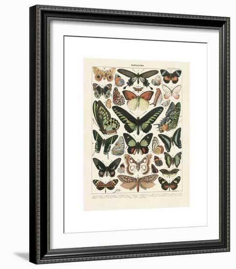 Papillons III-Adolphe Millot-Framed Giclee Print