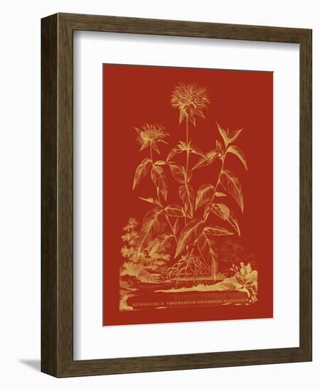 Paprika Bouquet II-Vision Studio-Framed Art Print