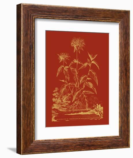 Paprika Bouquet II-Vision Studio-Framed Art Print