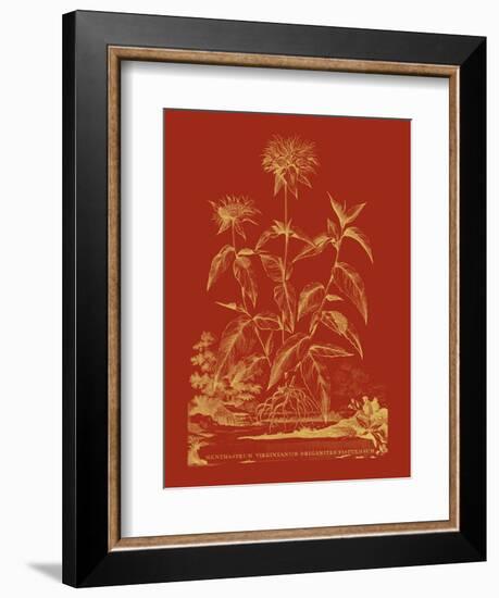 Paprika Bouquet II-Vision Studio-Framed Art Print