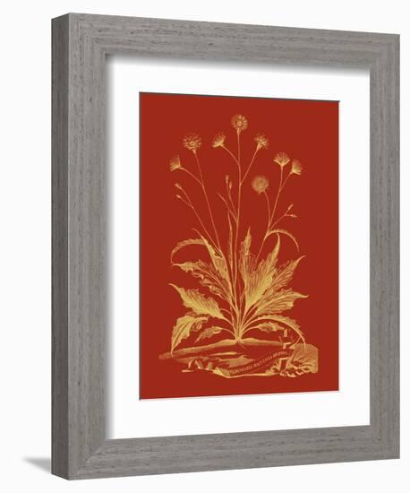 Paprika Bouquet III-Vision Studio-Framed Art Print