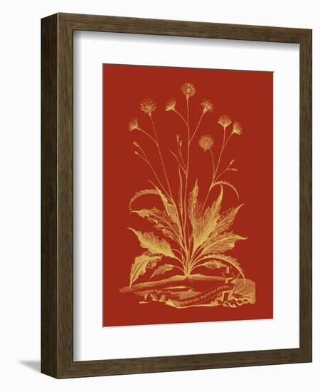 Paprika Bouquet III-Vision Studio-Framed Art Print