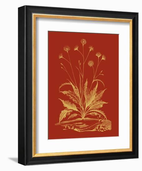 Paprika Bouquet III-Vision Studio-Framed Art Print