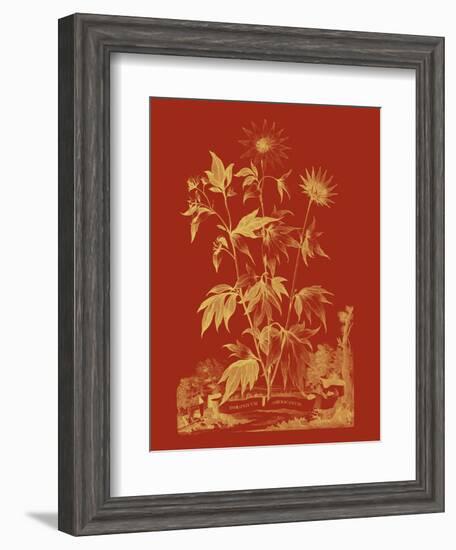 Paprika Bouquet IV-Vision Studio-Framed Art Print