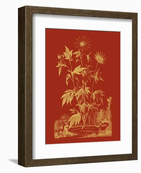 Paprika Bouquet IV-Vision Studio-Framed Art Print