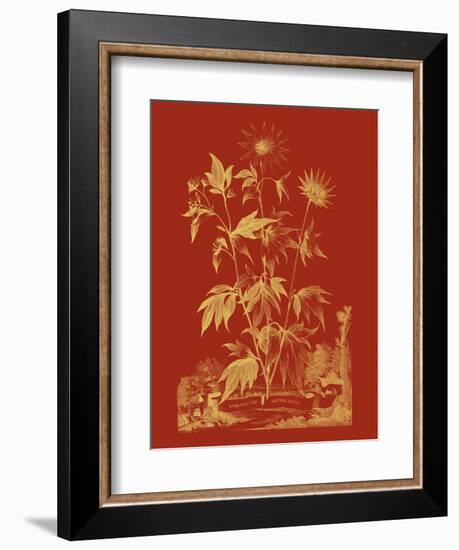 Paprika Bouquet IV-Vision Studio-Framed Art Print