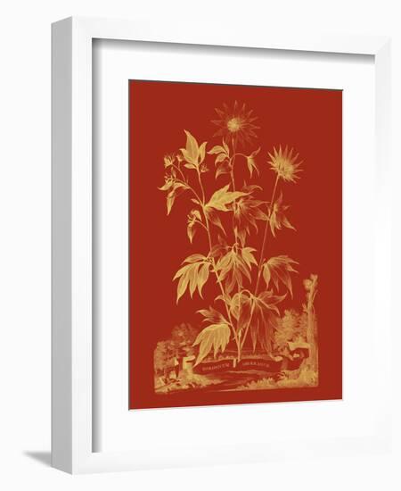 Paprika Bouquet IV-Vision Studio-Framed Art Print