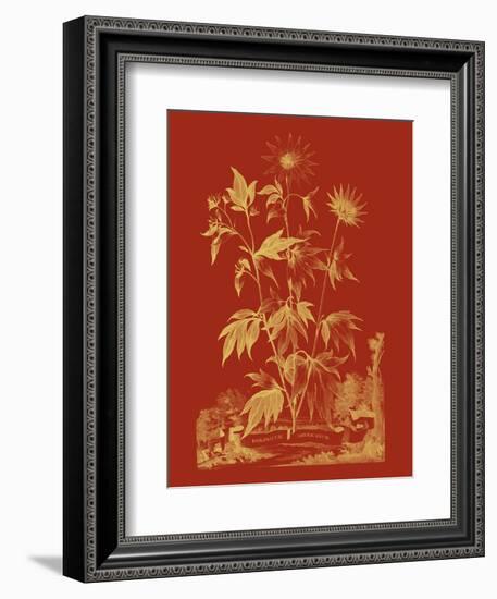 Paprika Bouquet IV-Vision Studio-Framed Art Print